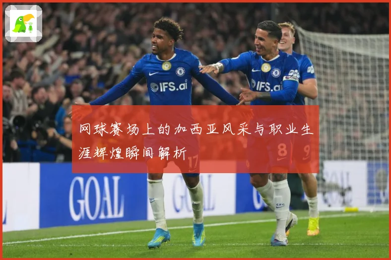 网球赛场上的加西亚风采与职业生涯辉煌瞬间解析