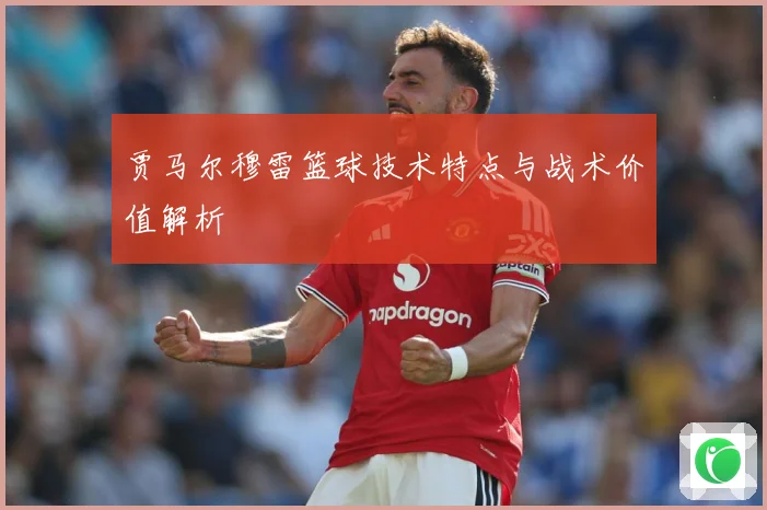 贾马尔穆雷篮球技术特点与战术价值解析
